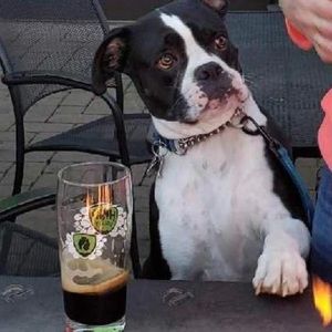 Meet your Posher, Marlene